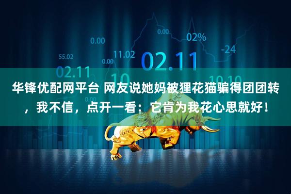 华锋优配网平台 网友说她妈被狸花猫骗得团团转，我不信，点开一看：它肯为我花心思就好！